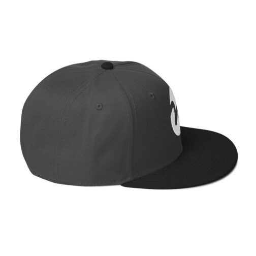 Snapback Hat - Image 16