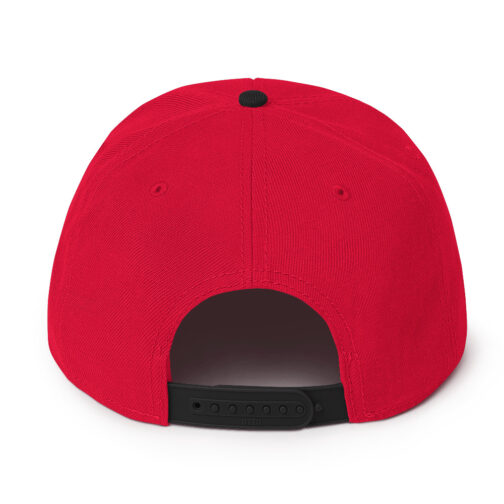 Snapback Hat - Image 6