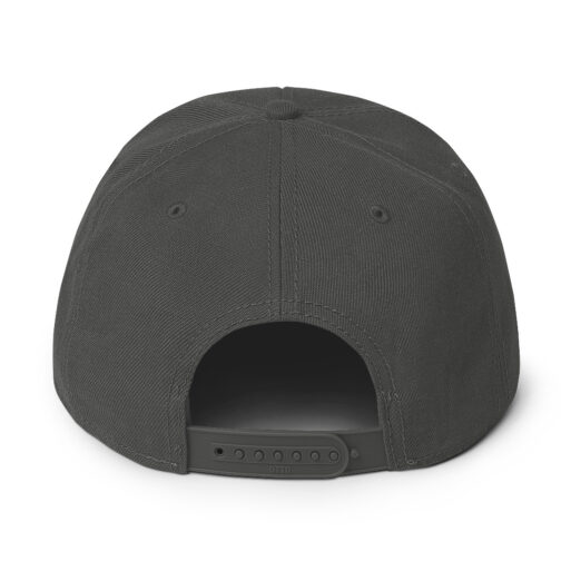 Snapback Hat - Image 18