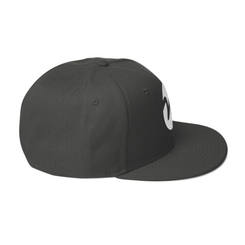 Snapback Hat - Image 20