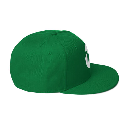Snapback Hat - Image 24