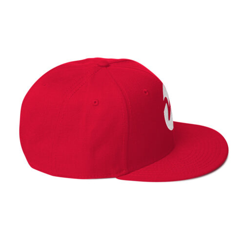 Snapback Hat - Image 12